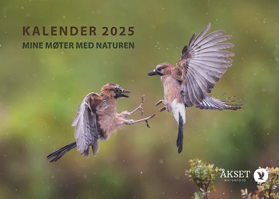 Naturfoto kalender